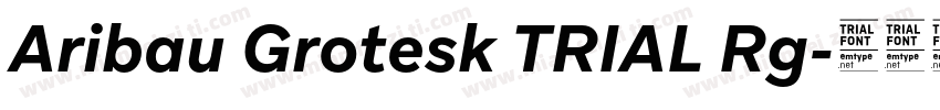 Aribau Grotesk TRIAL Rg字体转换